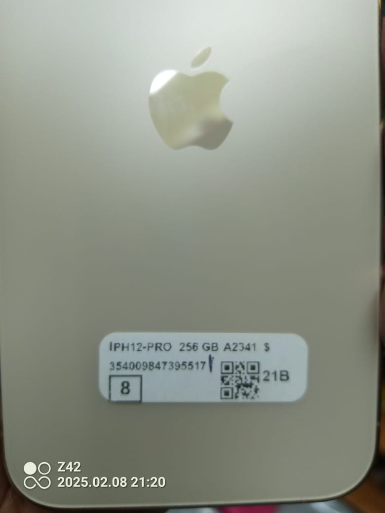  iPhone 16 Pro Max 256 GB
